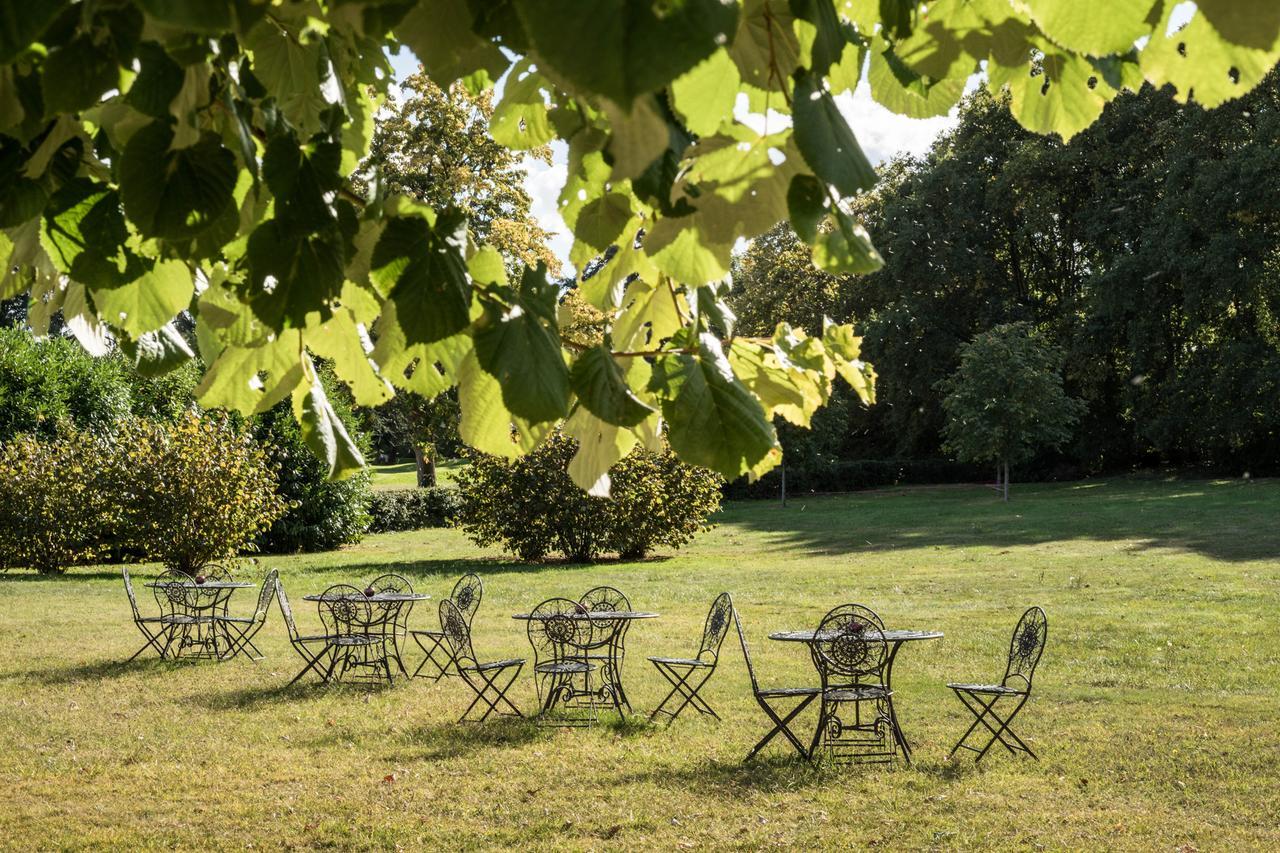 Saint-Antoine-du-Rocher Chateau D'Ardree B&B 외부 사진