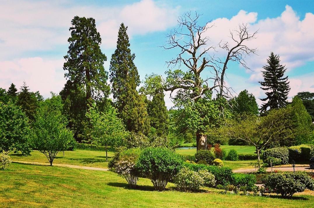 Saint-Antoine-du-Rocher Chateau D'Ardree B&B 외부 사진