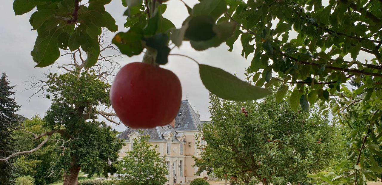 Saint-Antoine-du-Rocher Chateau D'Ardree B&B 외부 사진